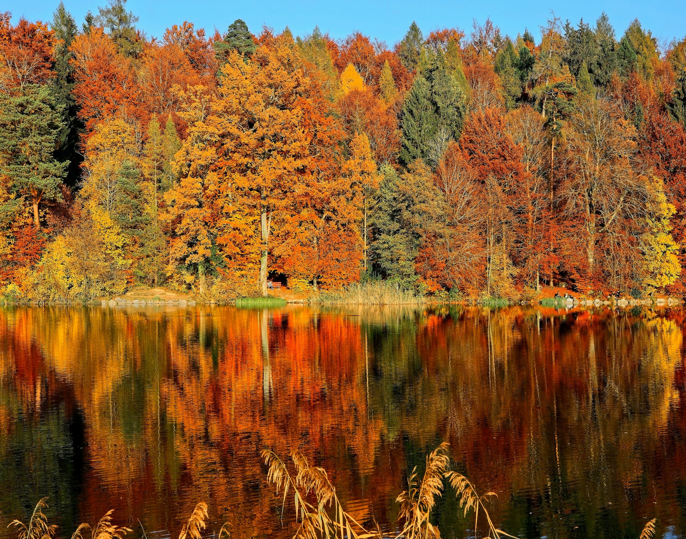 Jesień w Beskidzie Śląskim